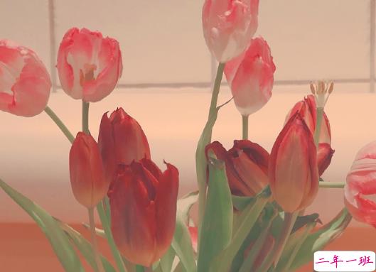 一些让你读到后人生会舒坦的句子 很精辟的现实经典语录1