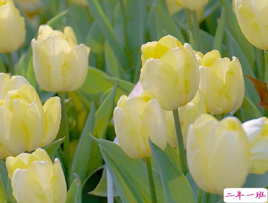 一些让你读到后人生会舒坦的句子 很精辟的现实经典语录2