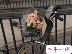 高冷孤傲的唯美句子 霸气高冷到爆的句子