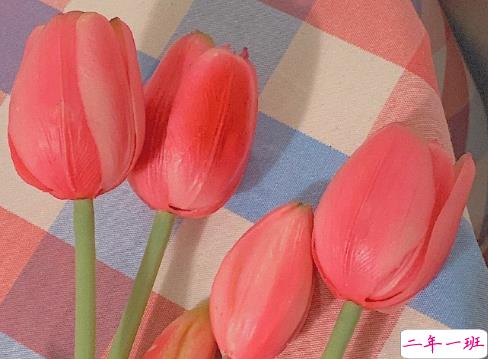 三观超正的关于爱情的语录 越看越暖的爱情句子1