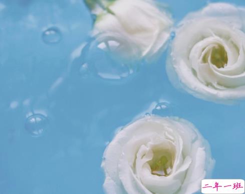 三观超正的关于爱情的语录 越看越暖的爱情句子2