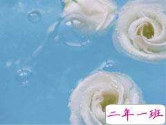 三观超正的关于爱情的语录 越看越暖的爱情句子