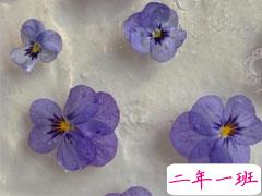 2021毕业给同学的赠言简短 同学录上的简短留言短句