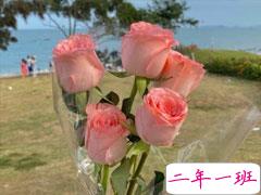 母亲节对妈妈说的感动的话 2021母亲节微信感人祝福语