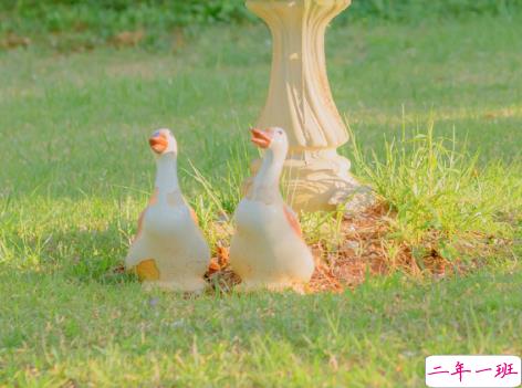 母亲节让妈妈感动的句子 2021祝妈妈节日感动的话1