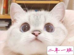 适合发朋友的高端文案句子 简短又很精辟的发朋友圈句子