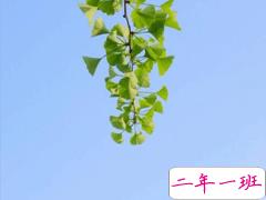 夏天天气闷热烦躁的心情说说 2021天气闷热心烦的句子