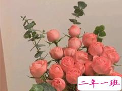 夏天的朋友圈该怎么发 很治愈干净的夏天文案