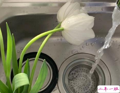 不想上班发朋友圈的可爱句子 2021最新版的不想上班句子1