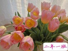 2021母亲节给婆婆的祝福语 祝婆婆节日快乐的暖心句子最新