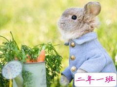 母亲节快乐发朋友圈的说说 2021最新版的母亲节快乐文案