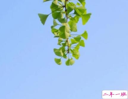 夏天天气闷热烦躁的心情说说 2021天气闷热心烦的句子1