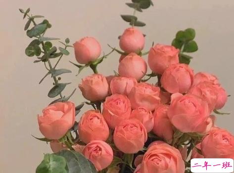 夏天的朋友圈该怎么发 很治愈干净的夏天文案1