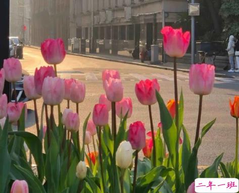女人洒脱大气的发朋友的经典句子 适合成熟的女人发朋友圈句子1