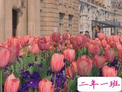 女人洒脱大气的发朋友的经典句子 适合成熟的女人发朋友圈句子