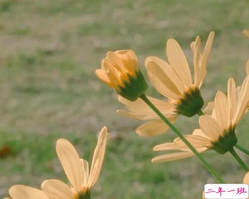 五一劳动节的名言有哪些 劳动节关于劳动的文案1