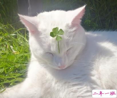 抖音上很火很热门的比较长的文案 2021抖音上热门的长句子1