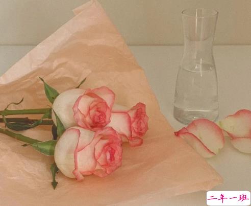 2021写给妈妈的母亲节贺卡祝福语大全 给妈妈母亲节的暖心贺卡文案1