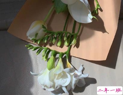 抖音上很火很热门的比较长的文案 2021抖音上热门的长句子2