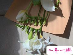 抖音上很火很热门的比较长的文案 2021抖音上热门的长句子