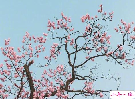 五月发朋友圈的温暖治愈小文案 2021适合五月的干净朋友圈句子1