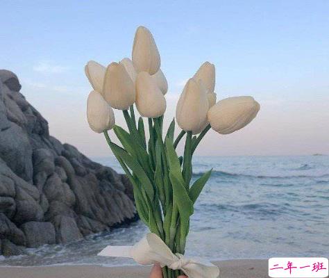 晚上发朋友圈吸引人的文案 能够引起共鸣的适合晚上发的句子1