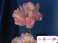 抖音三观很正的精辟说说 抖音上比较火的语录