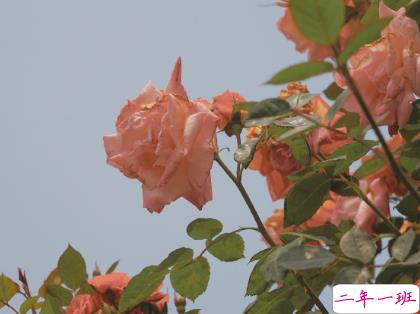 2021最扎心的情感语录 能够引起共鸣的感情文案1