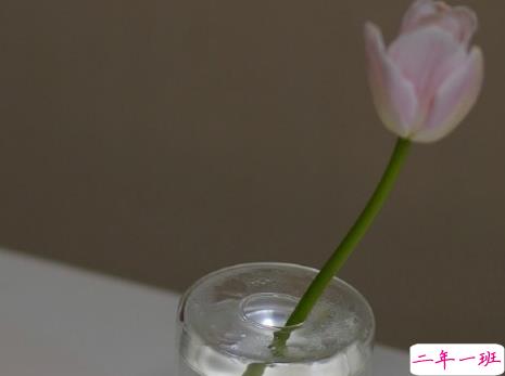 让你明白什么人不能深交的精辟句子 很有道理很现实的语录2