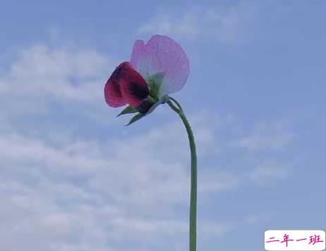 母亲节收到孩子的礼物的开心说说 2021第一次收到孩子送的礼物的心情句子1