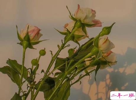 心里难受又无奈的说说 憋屈又压抑的句子1