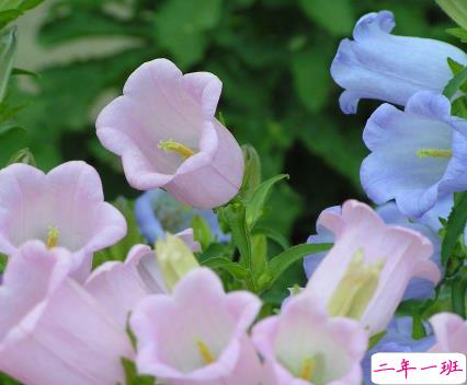 2021关于五月的伤感说说 告别四月迎接五月的伤感句子2