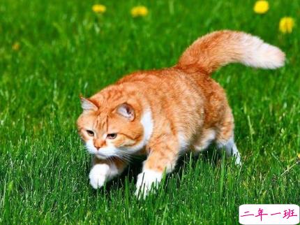 2021四月最后一天发朋友圈的说说 四月再见五月你好心情短句1