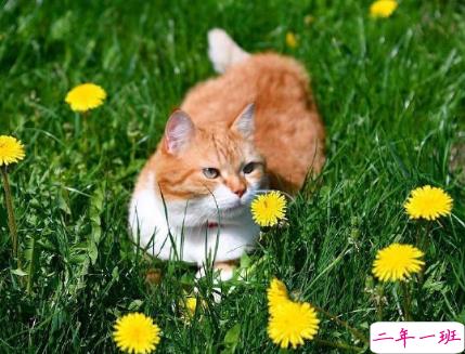 2021四月最后一天发朋友圈的说说 四月再见五月你好心情短句2