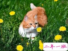 2021四月最后一天发朋友圈的说说 四月再见五月你好心情短句