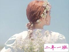 无一爱字却句句深情文案 很高级的深情告白说说