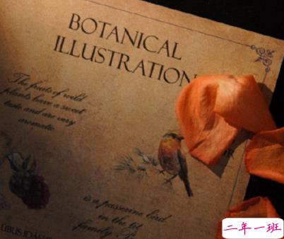 独自一个人难过的文案带图片 一个人独自流泪的说说5