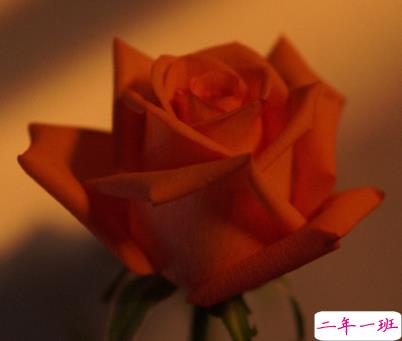 独自一个人难过的文案带图片 一个人独自流泪的说说7