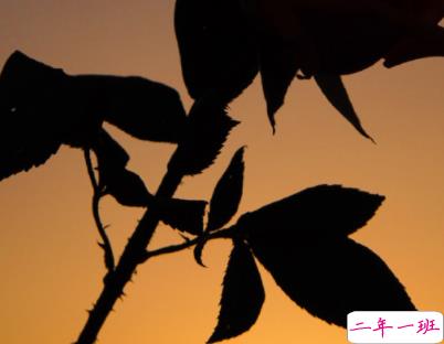 独自一个人难过的文案带图片 一个人独自流泪的说说9