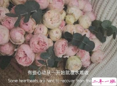 独自一个人难过的文案带图片 一个人独自流泪的说说10