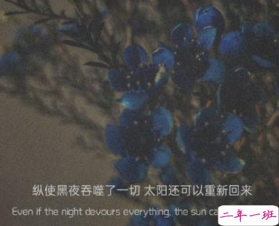 独自一个人难过的文案带图片 一个人独自流泪的说说14