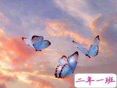 写进心坎里的文案句子 经典又很正能量的唯美句子