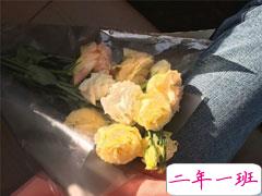 一组很骚气的朋友圈文案 很幽默可爱的骚气句子