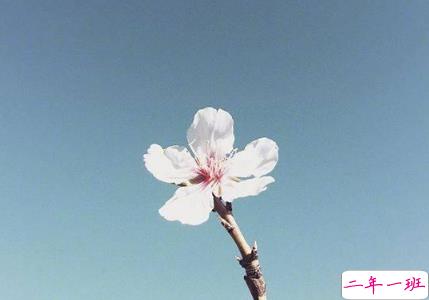 2021最新感慨人生的唯美语录 让人受益匪浅的人生语录2