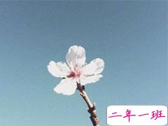 2021最新感慨人生的唯美语录 让人受益匪浅的人生语录