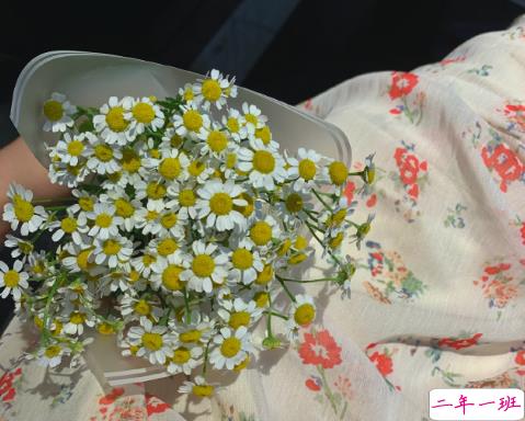 公司给员工生日不同的祝福语 公司给员工过生日贺词1