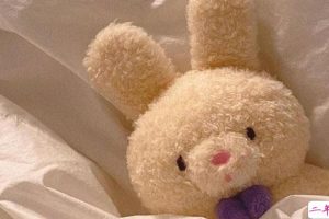 简洁霸气的朋友圈句子 2021超高人气的朋友圈文案