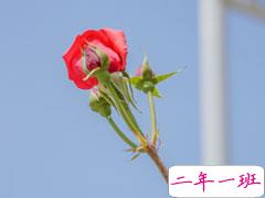 2021父母给孩子的高考寄语 高三给孩子的鼓励的话