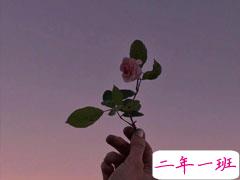 失望至极很催泪的文案 催人泪下的文案句子