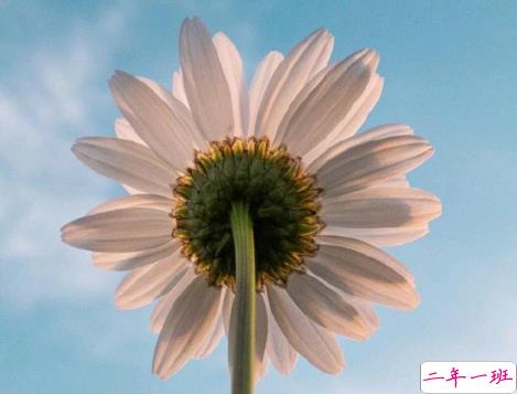 瞬间可以让人充满希望的文案 很走心的正能量文案1